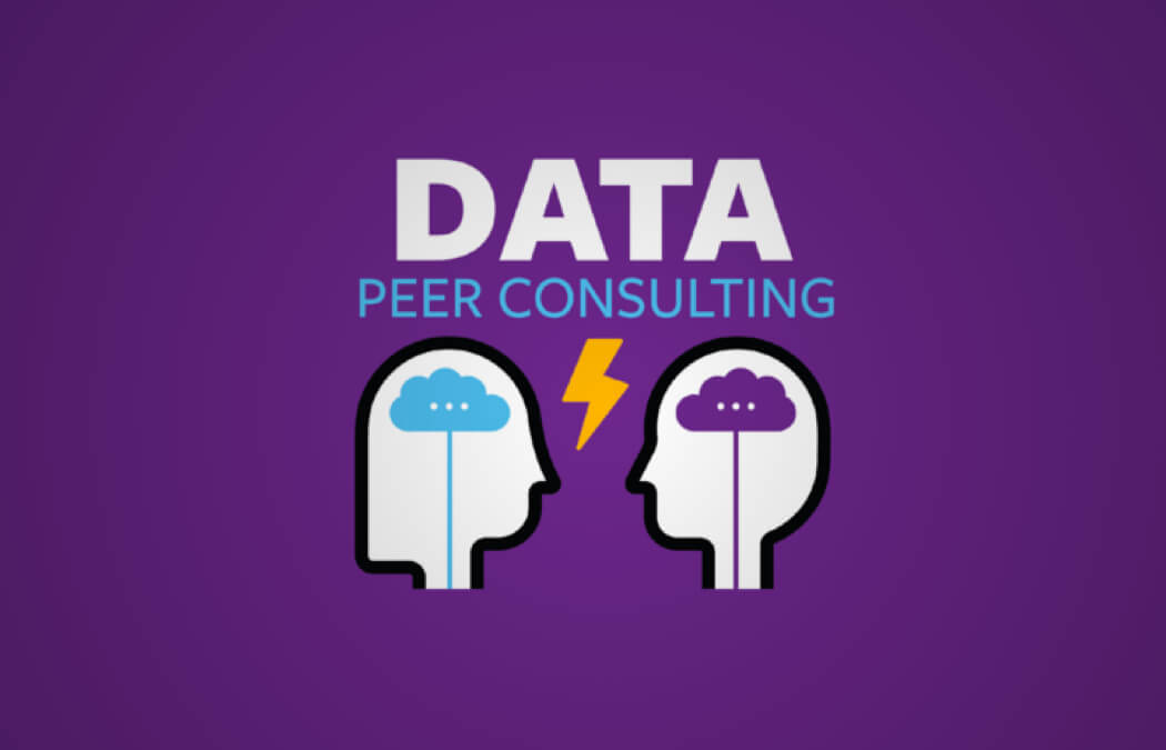 data peer consulting