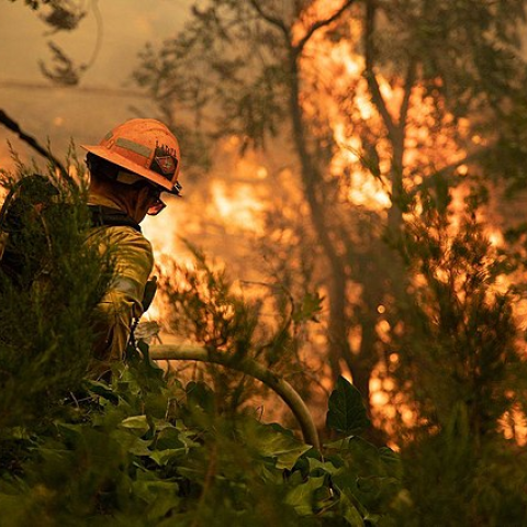 Computing and data sciences improve what we know about wildfires and how to fight them | CDSS at UC Berkeley