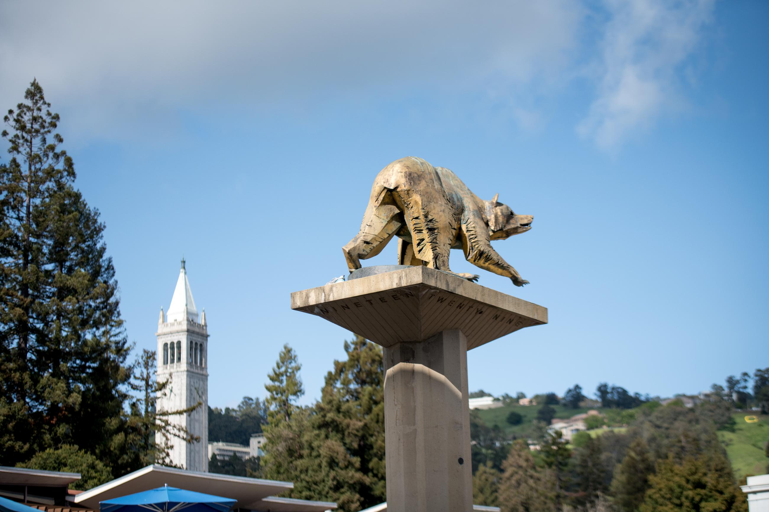 Cal bear statue