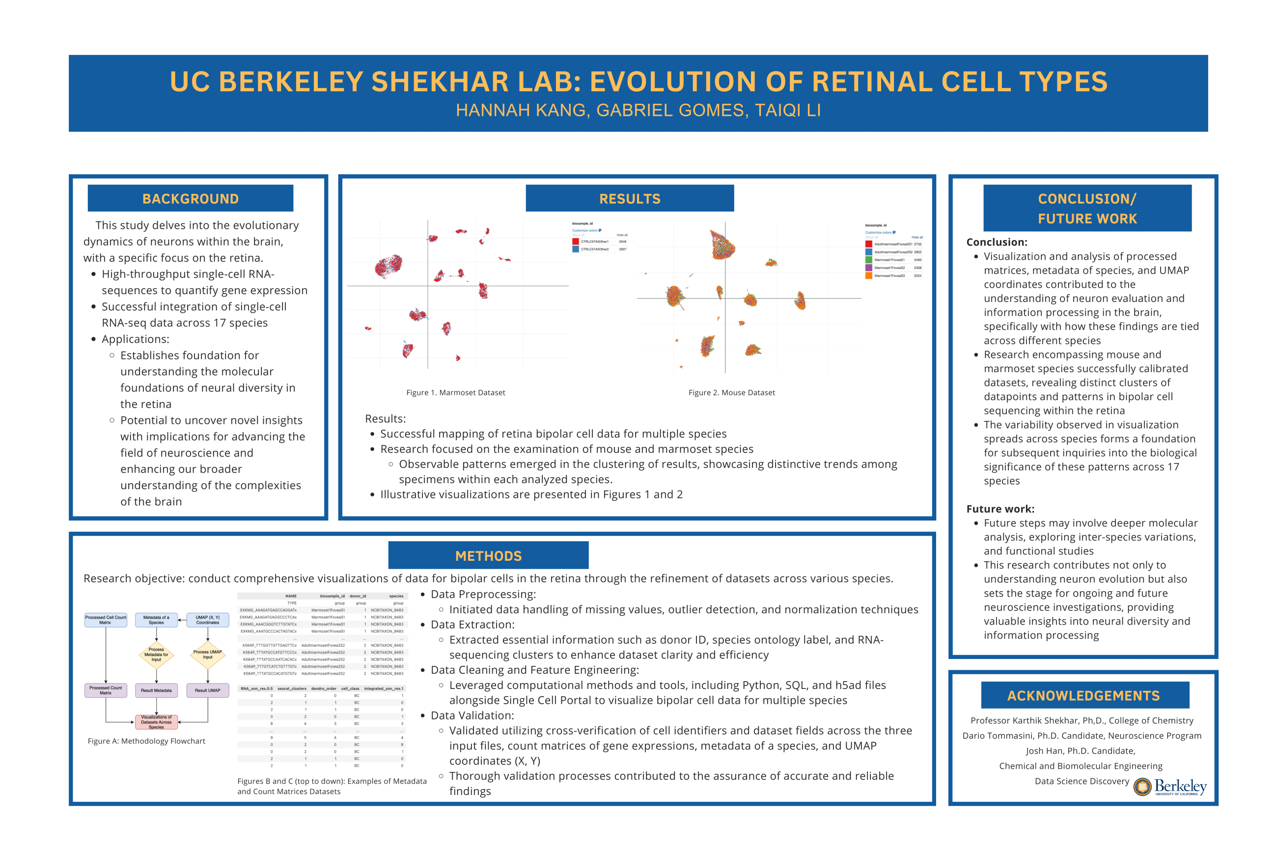 Fall 2023 - UC Berkeley Shekhar Lab: Evolution of retinal cell types