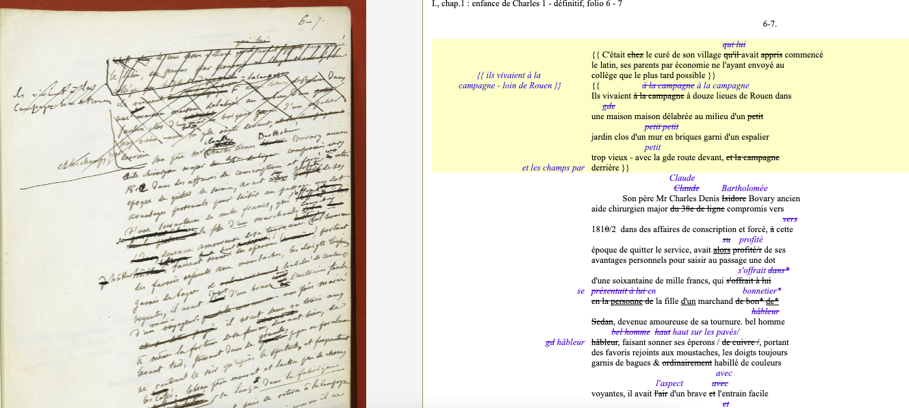 Bovary edits, handwritten and data analysis