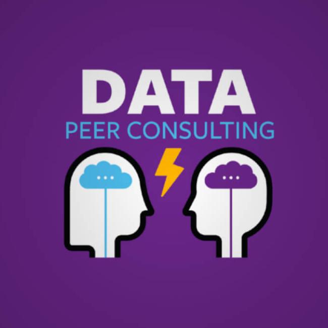data peer consulting